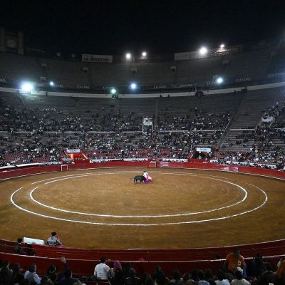 Mexico City Rebrands Bullfighting With Ban on Killing Bulls