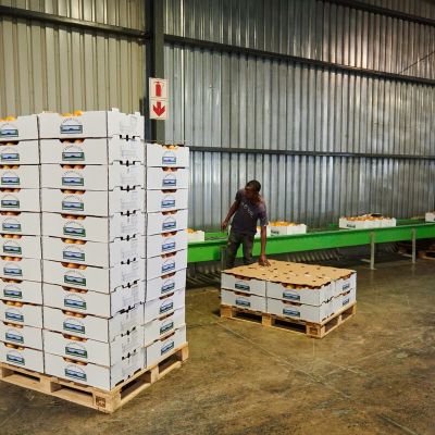 South Africa, Tanzania Talks Prompt Lifting of Farm Imports Ban