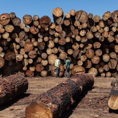 Republicans to Pay for Trump Tax Cuts With Sales of Public Land