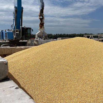 Third of Ukraine Crop Exports Wiped Out After Black Sea Block