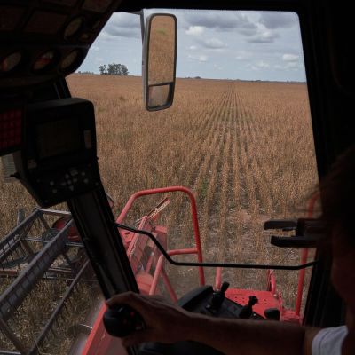 Milei Stumbles in Bid to Unchain Farmers as Soy Tax Break Ends