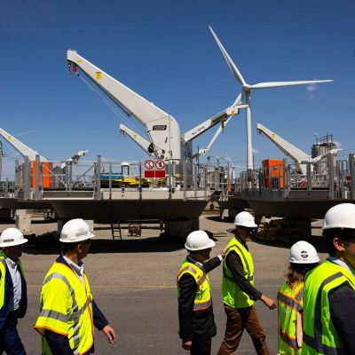 Trump Says He Wants No Wind Turbines Built During Administration