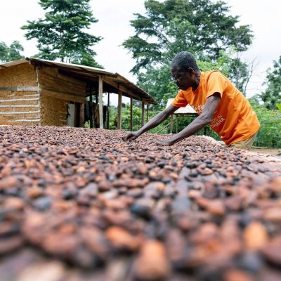 Cocoa’s Boom and Bust Is Rewriting Long-Held Rules of the Market