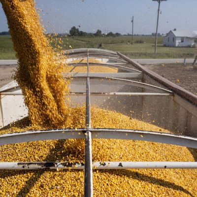 Crop Trader Andersons Tumbles After Tariffs Hit US Exports