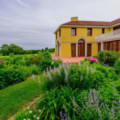 The Hamptons are where the elite use the art of the fundraiser