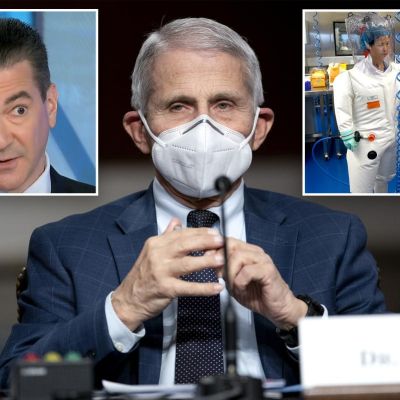 Ex-FDA commissioner confronted on ‘outrageous’ Fauci diaries by CNBC host