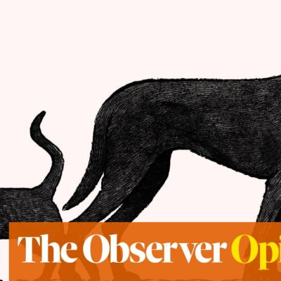 Republicans beware: weaponising pets is a political minefield | Stewart Lee