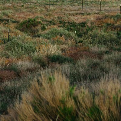 Selling Off Our Public Lands Is a Bad Idea