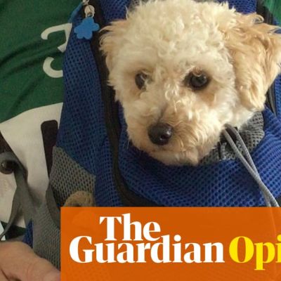 I’m a popular cyclist – but only when I bring my toy poodle along for the ride | Steven Herrick