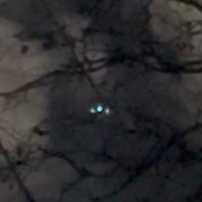 Maryland woman records “bizarre” large drones; Hogan, Harris frustrated with federal response to drone mystery