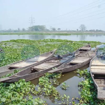 Centre sanctions Rs 692-cr for Assam’s wetland revival, Rs 1,270-cr flood relief