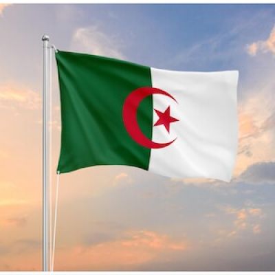 Algeria votes to declare French colonisation a crime, seeks restitution