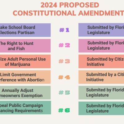 Analysis: 2024 amendments on the ballot; a series for voters