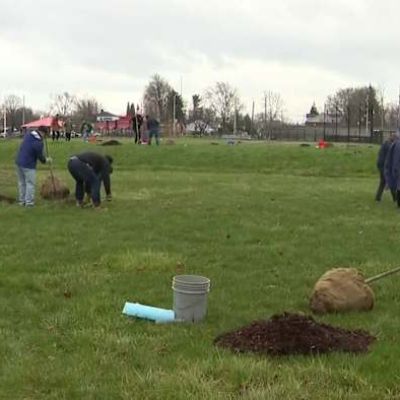 Residents embrace new trees as Detroit revitalizes green spaces