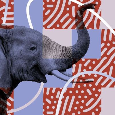 The pandemic upended politics — twice