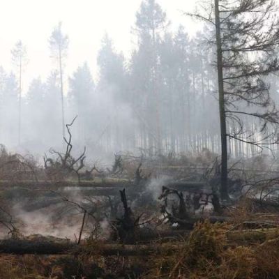 Belgium’s Wildfire Heads Towards Germany | Sada Elbalad
