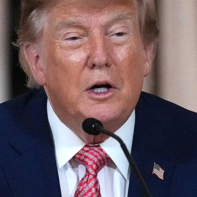 ‘I had to do it’: Trump says US-Canada tariff dispute to end ‘soon’