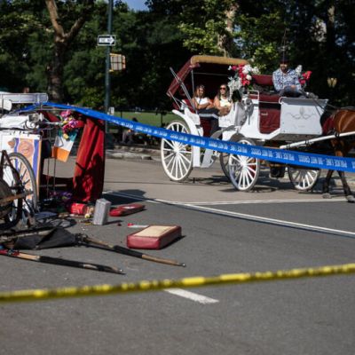 18-Year-Old Dies in Fall From Horse Carriage in Central Park