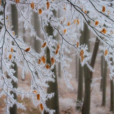 Warning issued as cold weather and wintry showers set to hit
