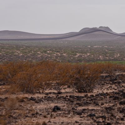 Judge Dismisses 'Trespassing' Charges Promoted by Trump in Border 'Defense Area'
