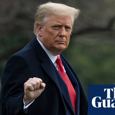 Top Democrat says ‘powerful argument’ 14th amendment disqualifies Trump