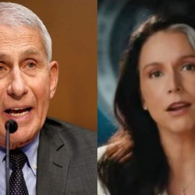 ‘Fauci funded Wuhan research that sparked COVID-19’: Tulsi Gabbard, on final day as US DNI; releases declassified documents | World News | Zee News