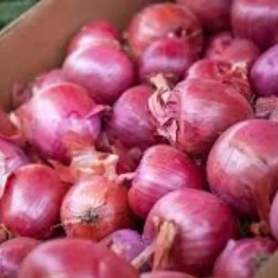 Centre Hikes Onion Procurement Price by 13% to Rs 2,125/Quintal
