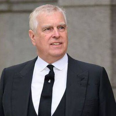 Prince Andrew’s attempt to ‘dig up dirt on Virginia Giuffre’ claim branded ‘deeply concerning’ – The Mirror