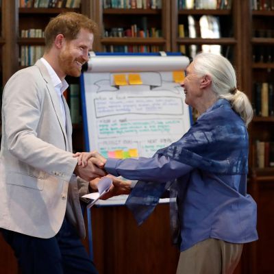 Harry and Meghan lead tributes as conservationist Jane Goodall dies aged 91