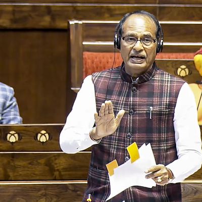 Basmati Rice to Boom in US Market, Says Shivraj Chouhan on India-US Deal