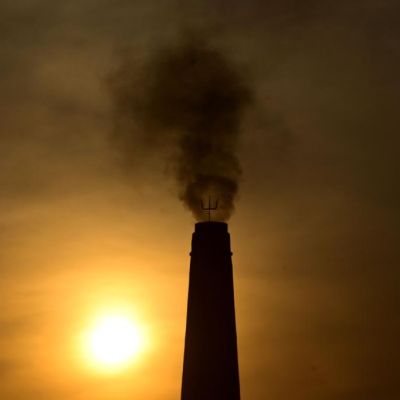 SEC, fund managers  should quit pushing NetZero  —  it hurts…