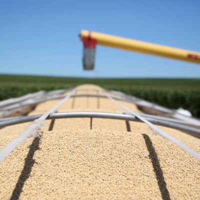 Exclusive-China buys at least 10 US soybean cargoes in new deals after Trump-Xi call, sources say