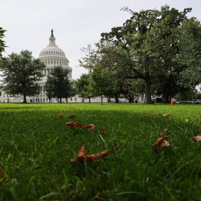 SNAP payouts in limbo: How a US shutdown sparked a global talking point