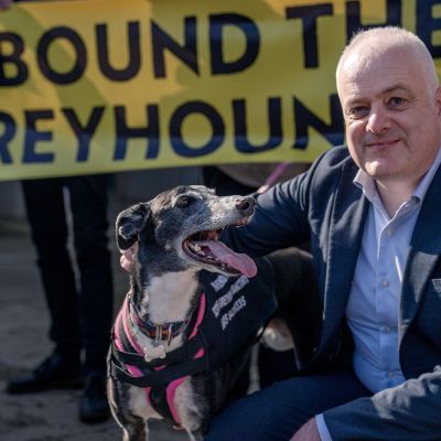 Scotland follows Wales in banning greyhound racing