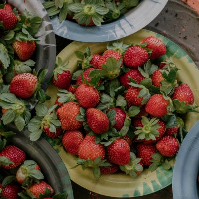 Strawberries Aren’t Ripe for Africa? His Farms Disprove That, Deliciously.