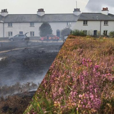 Measures will need to be put in place to cope with wildfires says trust manager