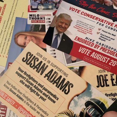 Indian River elections nasty. Will state political committees try to steal your vote?