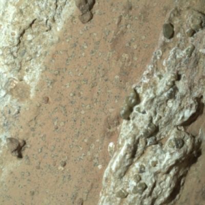Sign of ancient life on Red Planet? Scientists abuzz as Nasa Mars rover captures rock that could hold fossilised microbes
