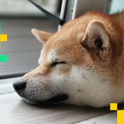 DOGE News: Dogecoin Beats the Blue Chips as D.O.G.E Calls it Quits