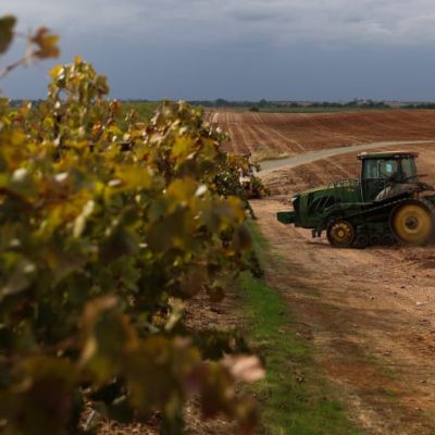 The top 10 problems with Trump’s bailout for U.S. farmers