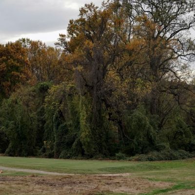 Trump administration terminates lease for Washington’s 3 public golf courses