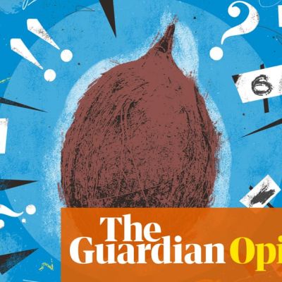 The cause of anti-racism is turned on its head when we’re debating coconuts in court | Nesrine Malik
