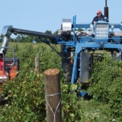 Paraquat and Parkinson’s: Herbicide faces intense scrutiny in US amid health fears