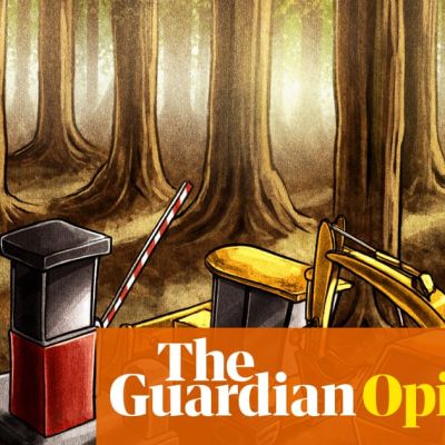 Labour’s great nature sellout is the worst attack on England’s ecosystems I’ve seen in my lifetime | George Monbiot