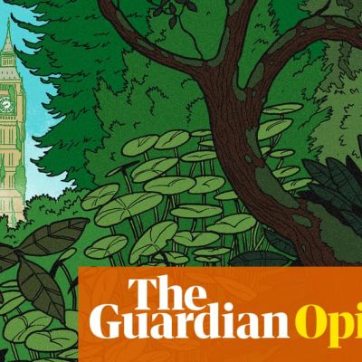 A radical British politics rooted in nature is spreading – and the establishment doesn’t like it | John Harris