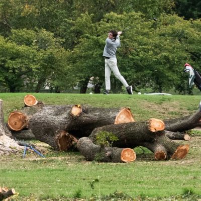 Judge tears into Trump administration for felling trees on D.C. golf course the president wants to remake