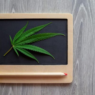 NYC schools’ weed scourge: Letters to the Editor — Sept. 27, 2023