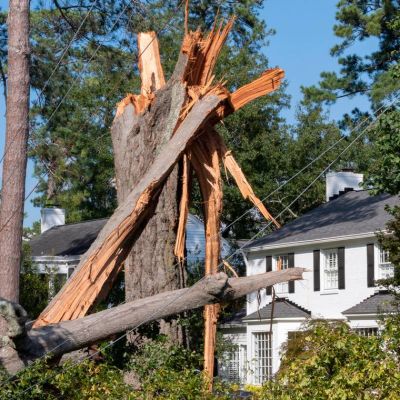 Hurricane Helene demonstrates why votes that respect global warming matter | Opinion