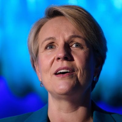Plibersek says Labor cannot set 2035 emissions target until it receives advice from climate authority
