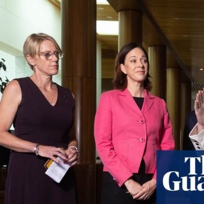 Zoe Daniel on her friend Helen Haines and the alleged attack in Indi – podcast